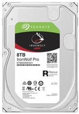 Seagate 8 TB ST8000NE001 silver